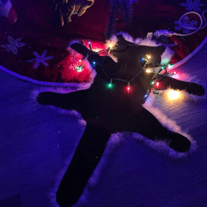 Aunt Bethany's Fried Cat Decorative Fur Trimmed Rug - image 7