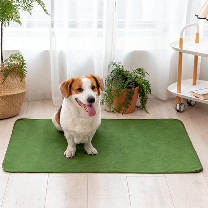 Solid Color Comfy Absorbent Pet Pad - Green - 3XL: 72" x 72" - image 3