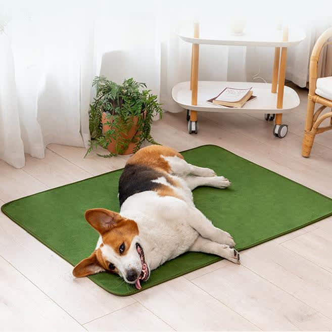 Solid Color Comfy Absorbent Pet Pad - image 2