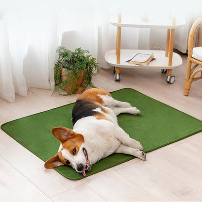 Solid Color Comfy Absorbent Pet Pad - image 2