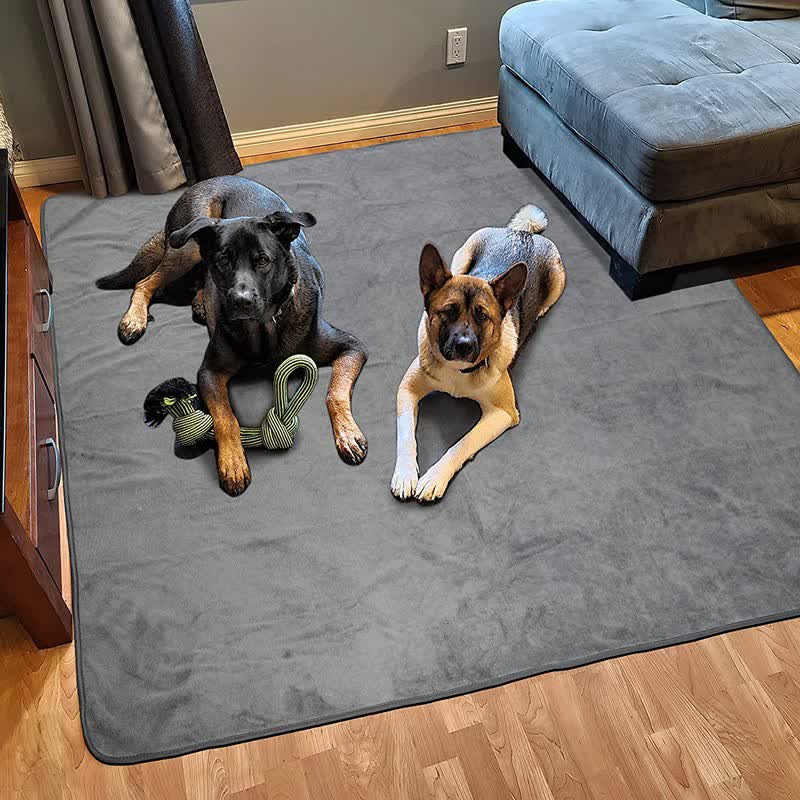 Solid Color Comfy Absorbent Pet Pad - image 0