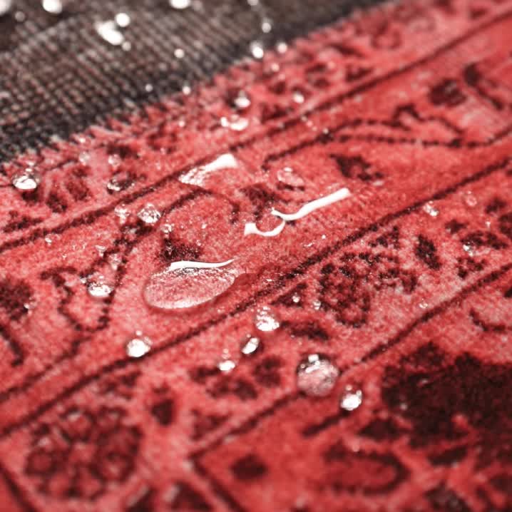 Oriental Exotic Anti-slip Decorative Area Rug - image 4