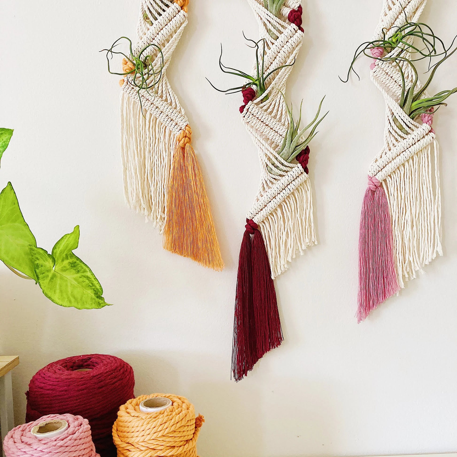 Bohemian Hand-woven Plant Holder Wall Tapestry - image 5