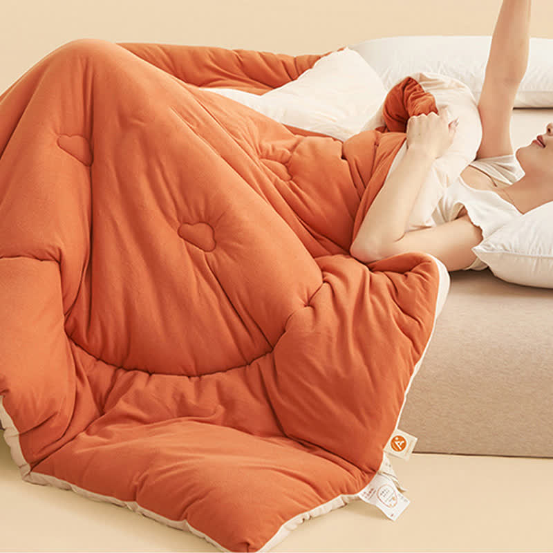 Simple Style Warm Fluffy Comforter - image 6