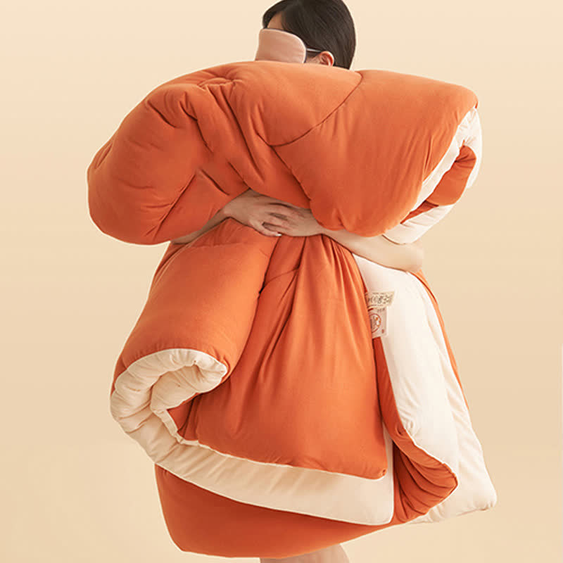 Simple Style Warm Fluffy Comforter - image 7