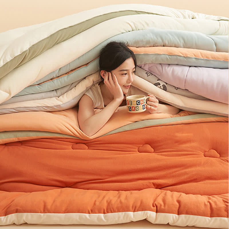 Simple Style Warm Fluffy Comforter - image 5