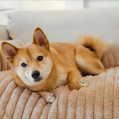 Solid Color Fluffy Sofa Protector Pet Pad - image 3