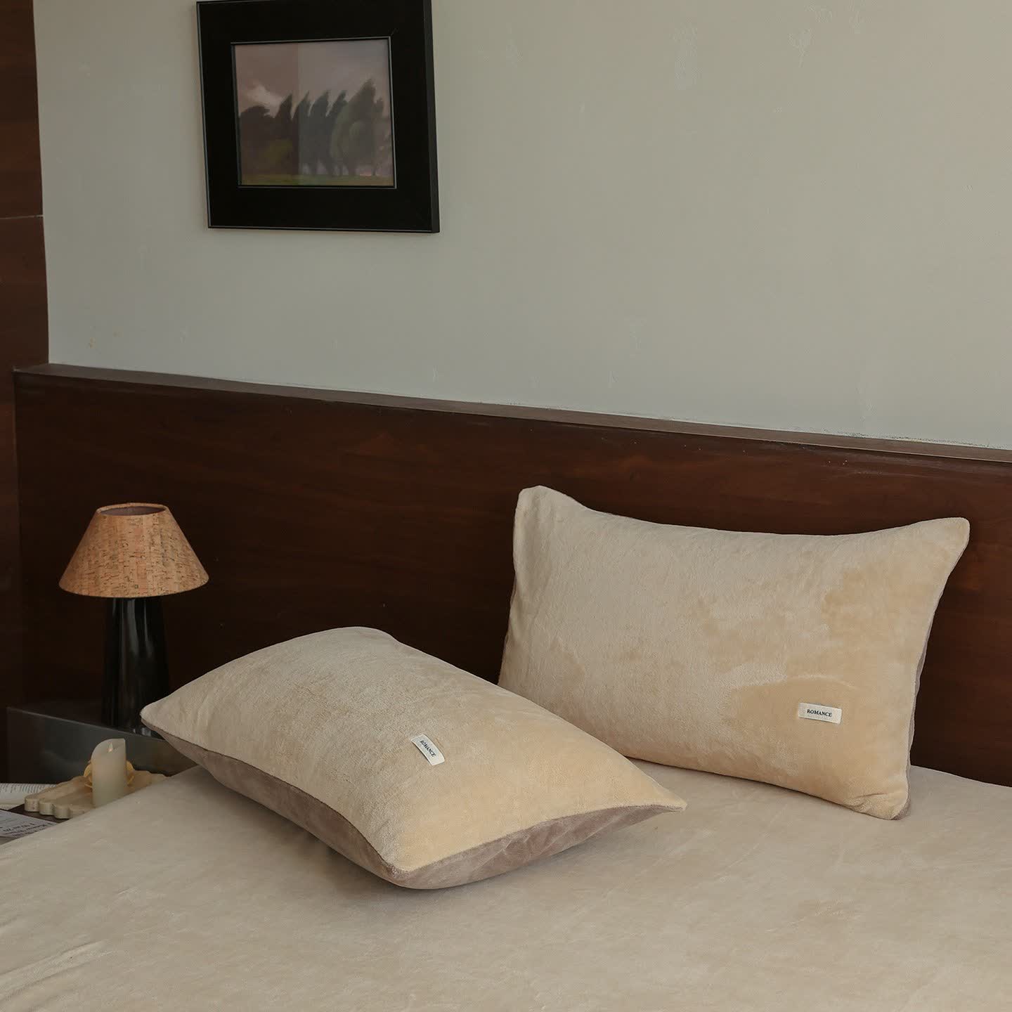 Ownkoti Solid Color Warm Fluffy Coverlet - Apricot - 2PCS Pillowcases - 19" x 29" - image 26