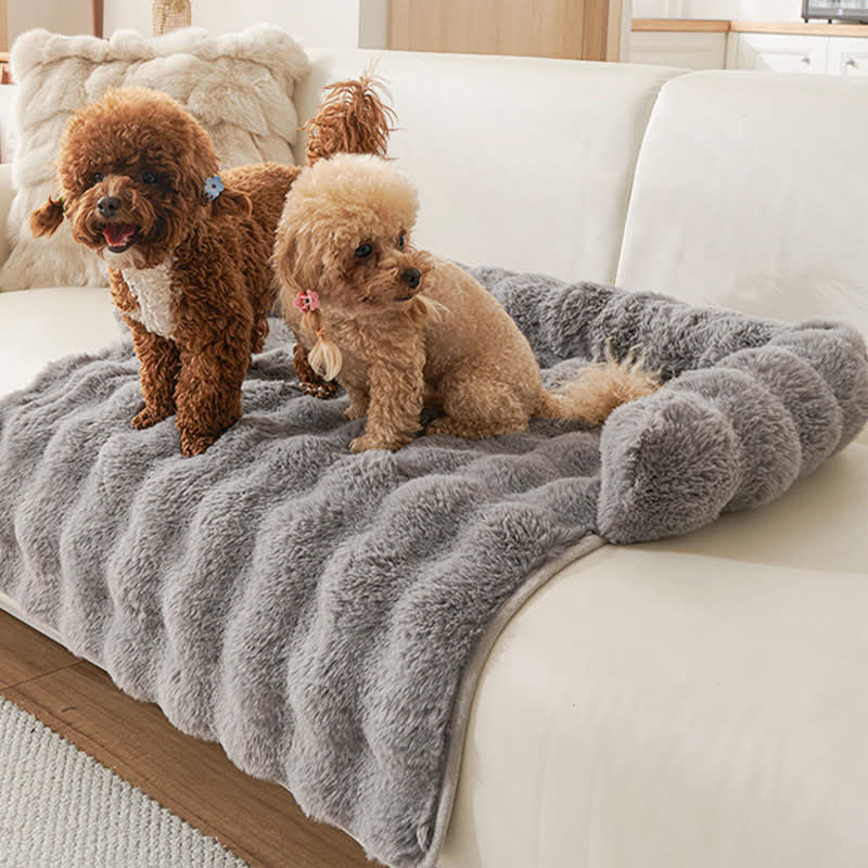 Ownkoti Solid Plush Pet Sofa Bed - image 8