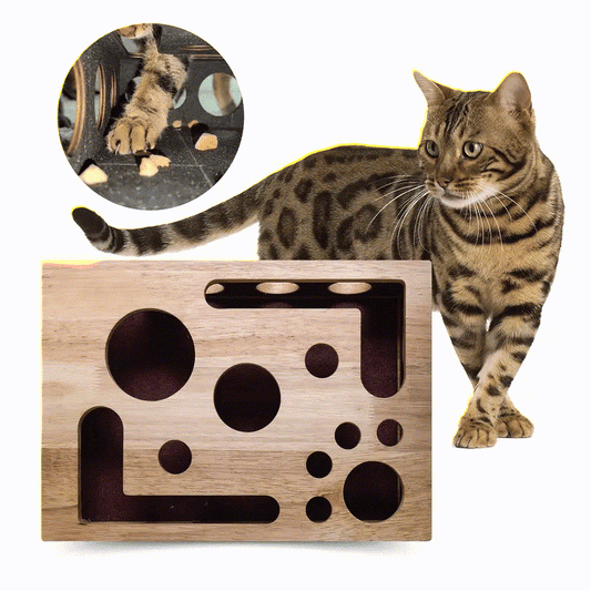 Cat Scratch Puzzle Enrichment Box - 9.84"W x 11.81"L x 2.36"H - 2 PACK(25% OFF) - image 0