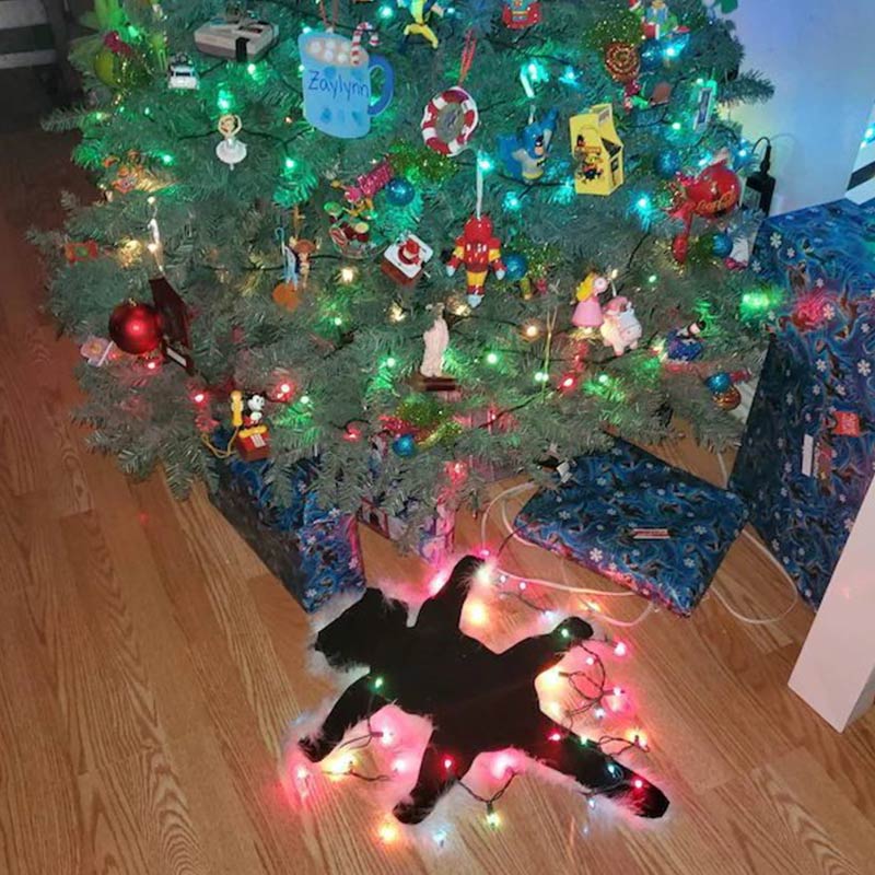 Aunt Bethany's Fried Cat Decorative Fur Trimmed Rug - image 6