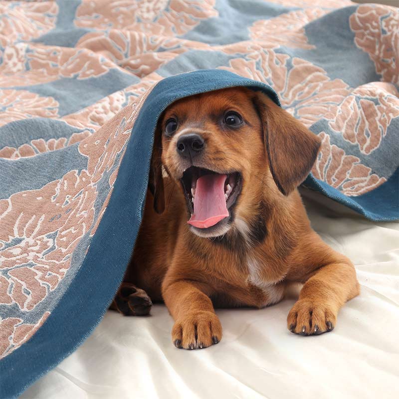 Lightweight Peony Cotton  Reversible Blanket - image 3