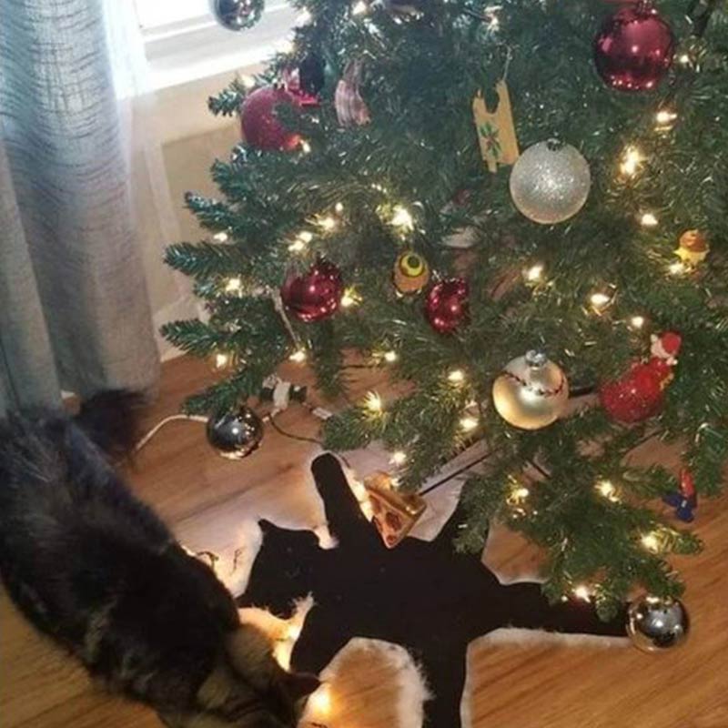 Aunt Bethany's Fried Cat Decorative Fur Trimmed Rug - image 4