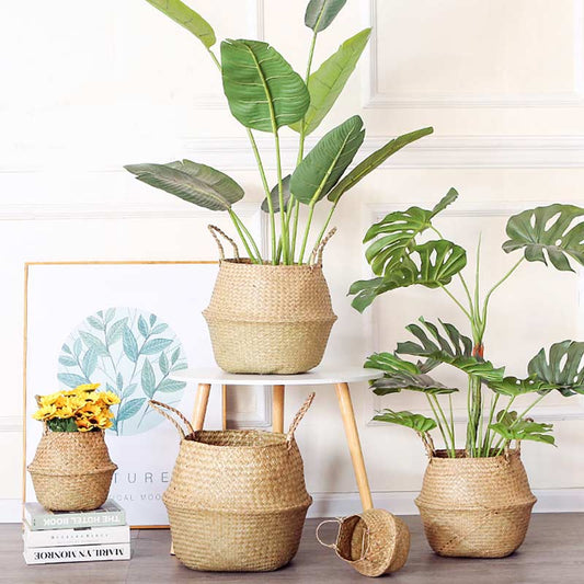 Ownkoti Woven Seagrass Belly Basket Storage Plant Pot Basket (2PCS) - image 0
